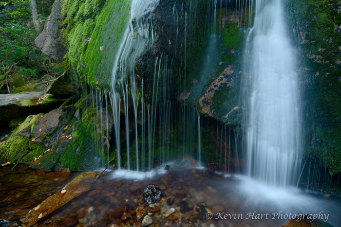 The 'comb' that appears as the water filters through the moss.