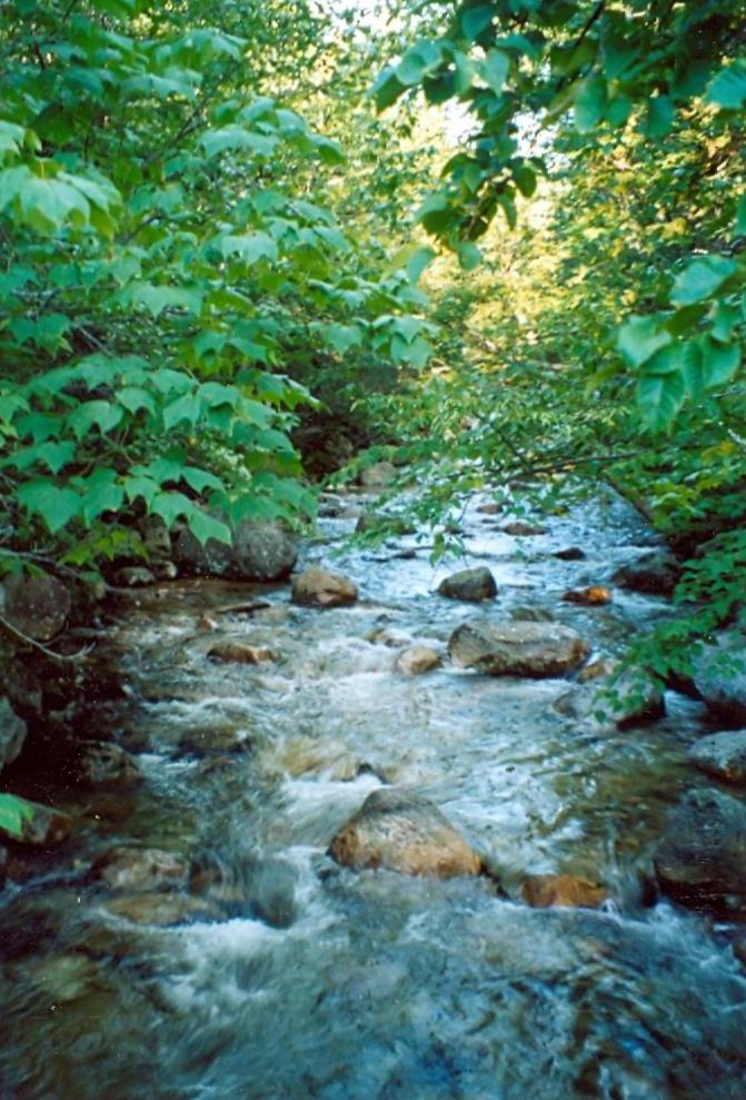 Roaring Brook, one of the first images I shot on the morning of our hike Sunday, 8/22/04. I was drawn to the serenity of the scene, but my lack of experience and proper equipment resulted in that getting lost in translation.