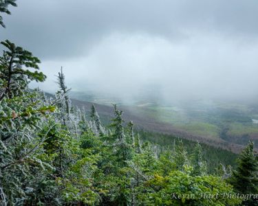 "May": Frost and snow collide with the return of spring.