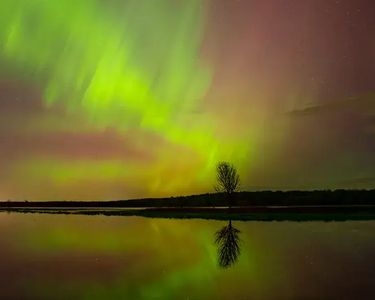 "The Dance of Midnight Lights" - The aurora borealis tangos with a tree along Charcoal Creek in West Swanton, VT.