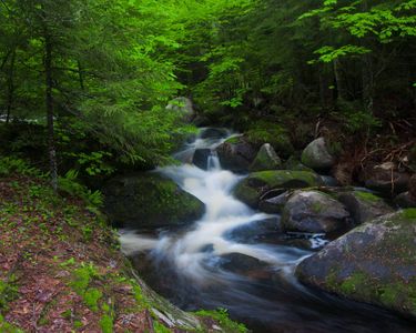 "The Song of the Stream": Coldwater Brook in Groton State Forest, Vermont.