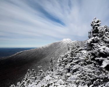 The "Chin" of Mt. Mansfield from Maple Ridge, Underhill, VT.