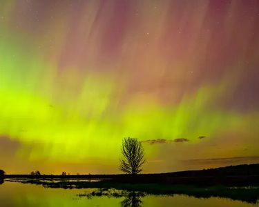 "A Tale of Excitement and Stoicism" - The aurora borealis dances over a single tree along Charcoal Creek in West Swanton, VT.