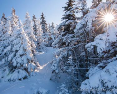 "Frigid Morning": Clear skies and subzero temperatures on Mt. Elmore in Vermont.