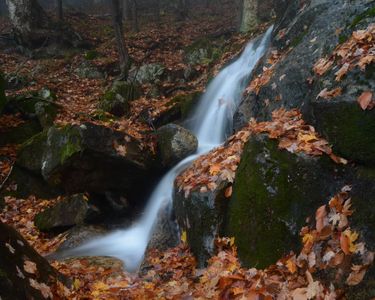 "Autumn's Memory" - Reminders of autumn fill the ravine near Gerry's Falls on Mt. Ascutney.