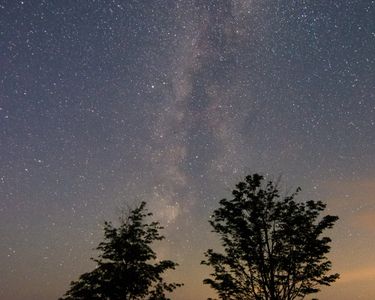 "Reach" - Two trees reach for the Milky Way galaxy in Sentinel Rock State Park, Westmore, VT.