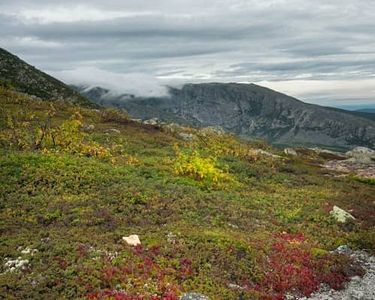 "Keep Ridge II" - Early autumn colors in the alpine zone of Mt. Katahdin, looking north from Keep Ridge towards a wind-socked Hamlin Ridge.