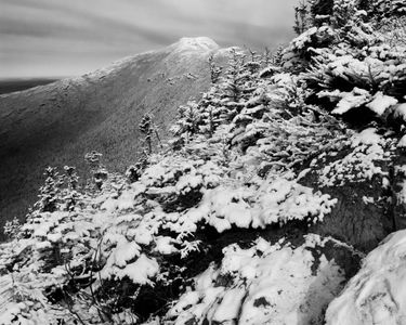 "Mansfield I" - Looking at the Chin from Maple Ridge. Mt. Mansfield, VT in early winter.