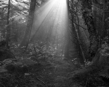 "Skyline Sunrays II" - Worcester Range in C.C. Putnam State Forest, VT.