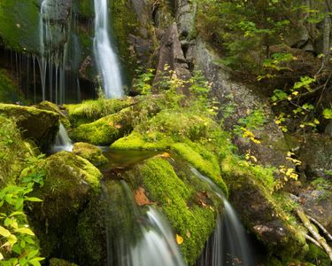 Green Falls. Found deep in the wilderness of Baxter State Park in Maine, it is seen here in September turning from green to yellow.