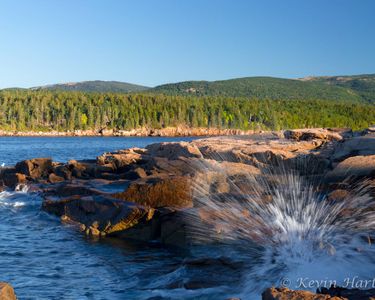 Otter Point in Morning Light, Acadia National Park, ME