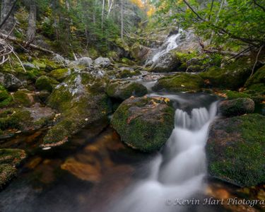 Weetamoo Falls in the Great Gulf on Mt. Washington, NH.