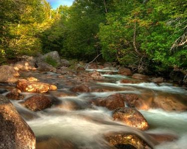 "Roaring Brook I"