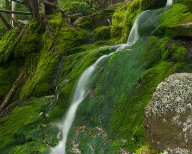 "The Fairy Slide": A mini-cascade found along the Fishin' Jimmy Trail, NH.