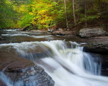 "The Slide": Murray Reynolds Falls of Ricketts Glen State Park (PA) in the early stages of autumn.