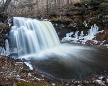 "Harrison Wright Falls" - Kitchen Creek spills over Harrison Wright Falls in Ricketts Glen State Park, PA during the spring thaw.