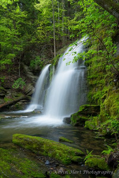 Vertical image of a double-veiled waterfall framed by green foliage.