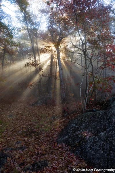 Sun rays, fog, and fall foliage meet on top of Fall Mountain in Walpole, NH.