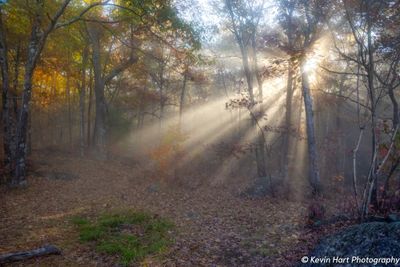 Sun rays, fog, and fall foliage all come together on top of Fall Mountain in NH.