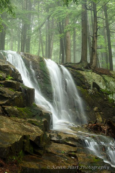 Waterfall in the foreground with a foggy green forest in the background.