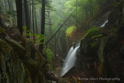 Waterfall tumbles into a flume with a foggy green background.