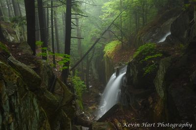 A double-horsetail waterfall flows into a small rock flume, surrounded by lush green foliage with a touch of fog in the background.