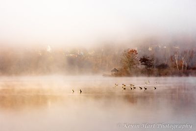 Foggy Lake Runnemede in Windsor, Vermont.