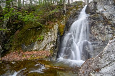 A waterfall in Stetson Hollow drops over a rock face in the springtime into bright brown water. Fallen leaves and spruce trees frame the scene.